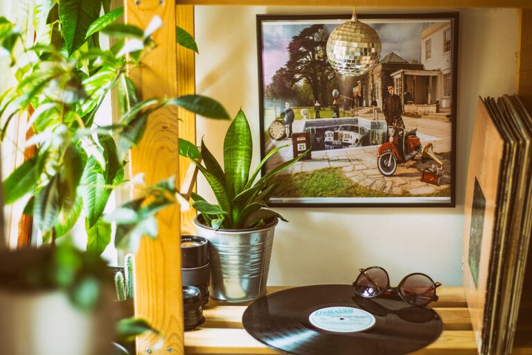 How to Refresh Your Home with Plants: Easy Tips for a Greener Space